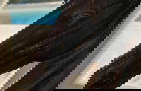 Villa Vanita Agios Ioannis Mykonos - Foto 39