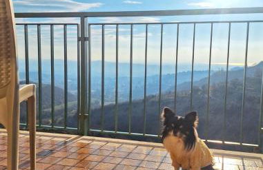 La casa di Lilly - Foto 12