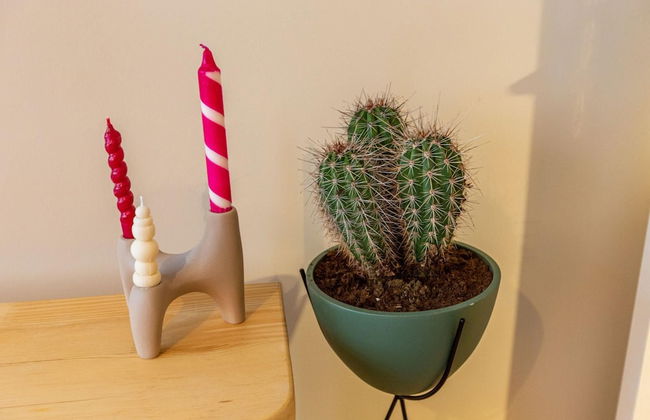 Missafir House With Refreshing Garden in Besiktas - Foto 13