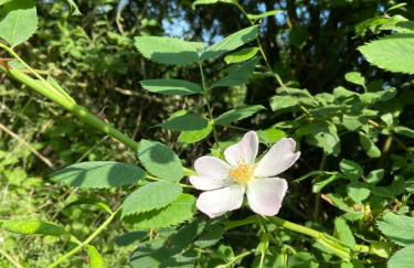 K 357 - Low budget Hotel in Ratekau bei Lübeck - Foto 40