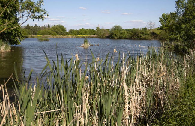 Elas Place Modern Retreat - Foto 12