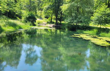 Ferienwohnung mit großer Terrasse - Foto 18