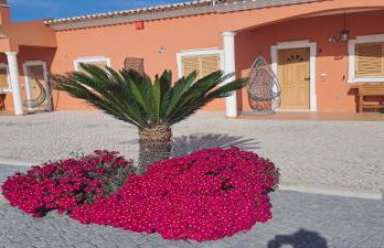 Herdade Monte Gordo - Foto 6