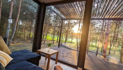 Przeszklony Tiny House w Lesie - Foto 3, Garden, Garden view