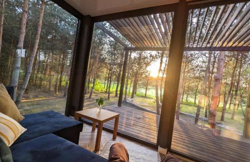 Przeszklony Tiny House w Lesie - Foto 3