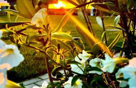 Słoneczna Przystań - Foto 43