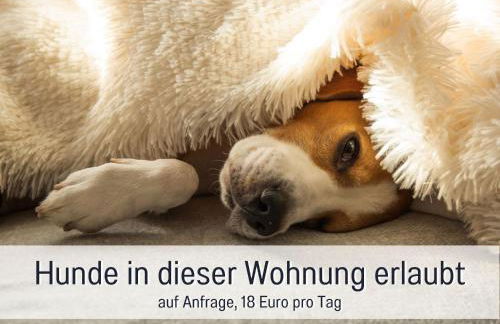 Dahem-Apartments - ruhig Parkplatz Rhein Main Gebiet gut erreichbar - 3 Apartments - barrierefrei mit Garten und Hund auf Anfrage -- 2 SZ Maisonette mit Balkon, -- 2 SZ mit Balkon - Foto 25