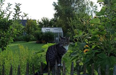 Ferienhaus Liwi - Foto 25