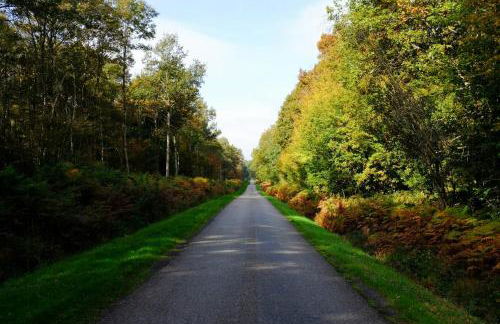18Th-Century Farmhouse Near Loire Châteaux - Foto 23