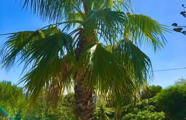 Magical VILLA CASA KOI in Sao Bras de Alportel - Foto 50