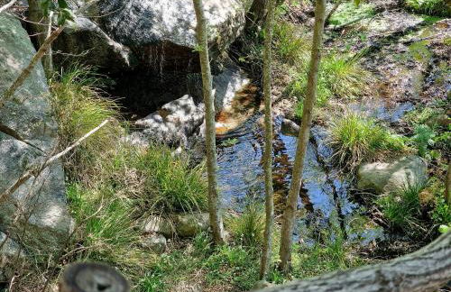 Sea View House Among Holm Oaks On Elba - Photo 38