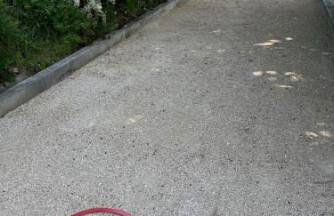 La Truffe Rose - Foto 31