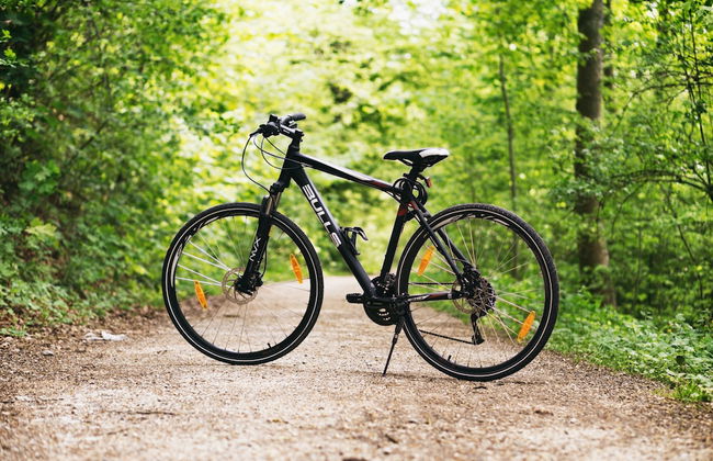 Cabañas Caeli Rainforest Glass Cabin El Congo La Fortuna - Foto 33