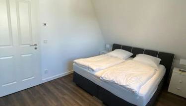 Reetdachhaus Salzhaff - Foto 5