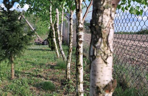 Brzozowe Ostrowie - Foto 15