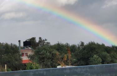 Green Farm-small paradise! - Foto 22