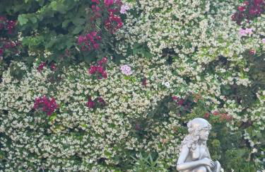 Vue magnifique sur le port appartement 80m2 piscine tennis parking climatisation - Foto 14