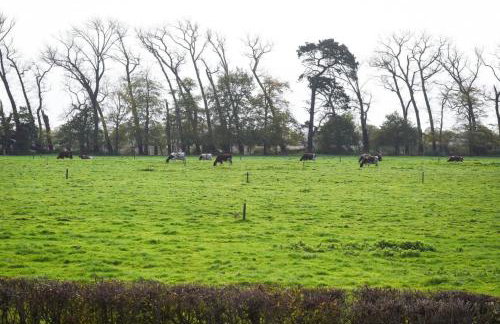 Air Maison - Farm Cottage - Hayling Island Home - Sleeps 6 - Foto 27