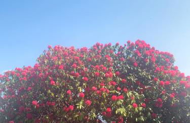 La mia casa sul lago con vista mozzafiato - Foto 45