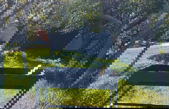 Hidden Garden Resort - Photo 30