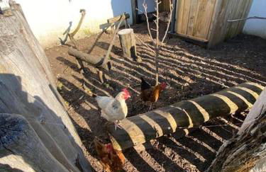 Villa avec jacuzzi proche de la mer et du centre - Photo 19