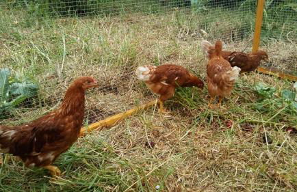 El Lagar de Piedra - Foto 27