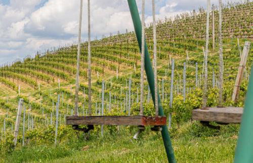 Panorama Villa Nestled Among the Vineyards Langhe - Foto 68