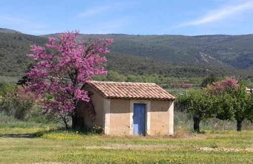 Maison dans les vignes - Foto 6