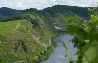 Ferienwohnung Haus am Calmont - Foto 34