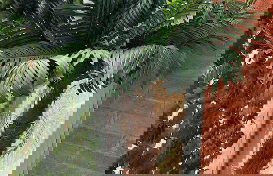 Two bed apartment with balcony Slough,Windsor,Legoland - Foto 44