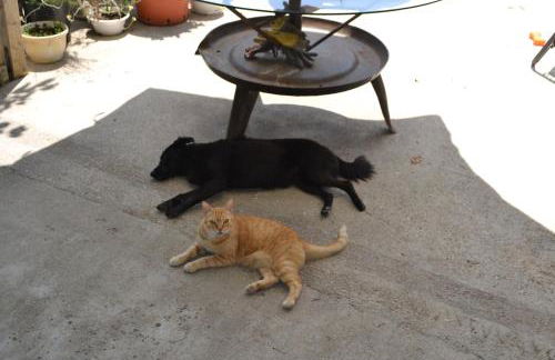 L'Iperico Stanza della Regina Boudicca - Foto 25