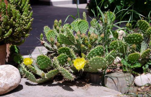 Schupferhof - Foto 12