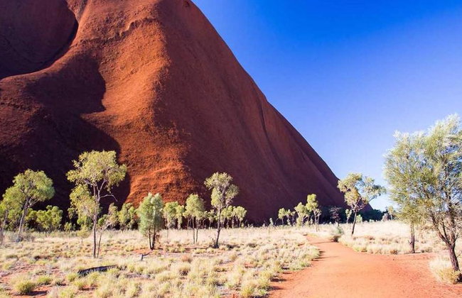 Uluru Morning Guided Base - Small Group Walking Tour - Photo 4