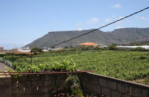 Finca El Vergel Rural - Foto 35