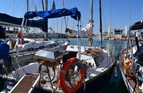 Velero en Puerto Valencia Mar -E&M Boats - Foto 12