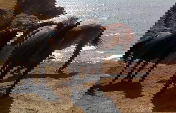 1bed Cottage Sleeps 2 - Enclosed Garden, Pets, Bbq - Foto 20