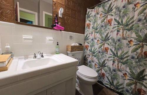 Jungle Oasis By Busch Gardens USF and Amphitheater - Foto 22