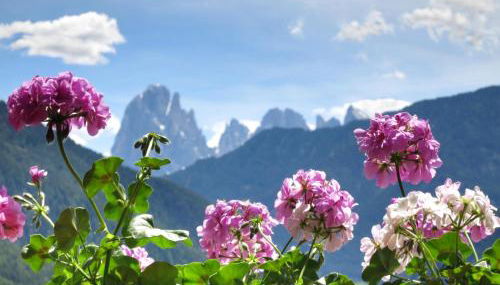 Apartments Haus Gabi - Photo 2