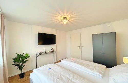 Basilisk Homes - in Grenzach-Wyhlen bei Basel - 4 x Moderne Fewos je 1bis2, 1bis4 oder 1bis6 Pers mit Küche und Balkon oder Terrasse - Parkplätze vorhanden - Foto 40