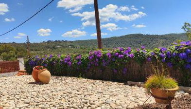 Ànima del Garraf - Photo 5, Garden, Garden view