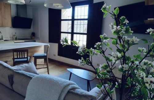 Apartamento Palacio de los Burgo - Foto 1