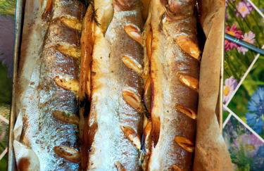 Agroturystyka Ranczo Gościszów - Foto 38