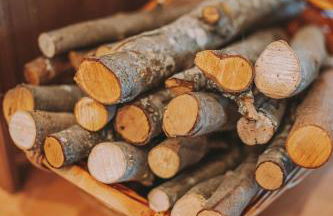 Cim's Apartments Cerdanya 2 - Foto 32