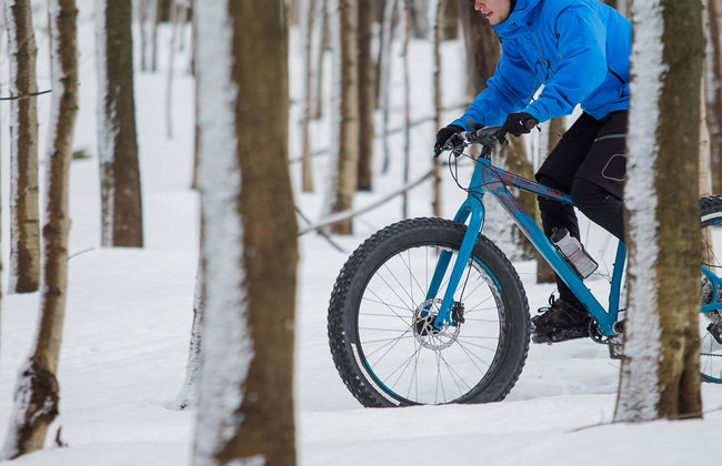 Tour en fat bike por los bosques de Ivalo - Foto 1