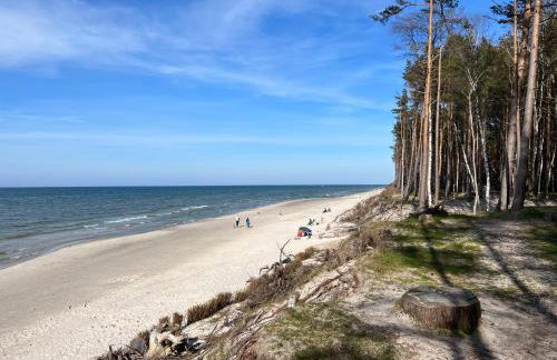 Baltic Homes Lubiatowo - Foto 59