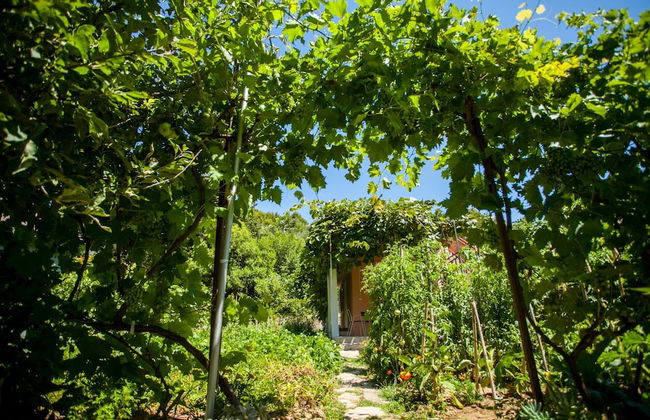 House With Large Garden, Right Next to the River - Foto 24