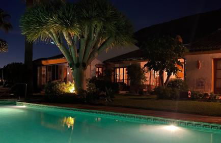 Finca Lechuza - Photo 35