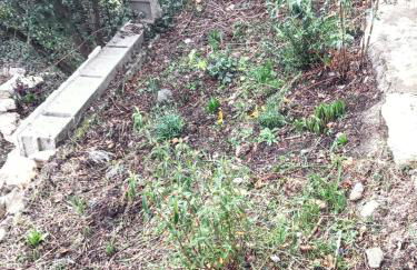Maison de charme à Vachères avec jardin et vue montagne - Foto 12