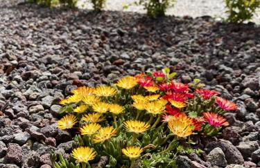 Villa Belvedere di Altavilla with Pool and Near The Sea - Foto 32