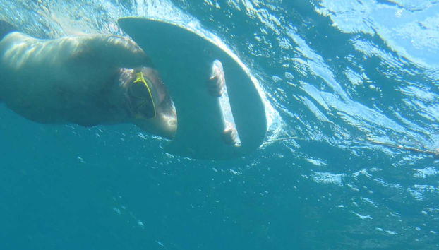 Morro Dois Irmãos Boat Ride - Foto 5